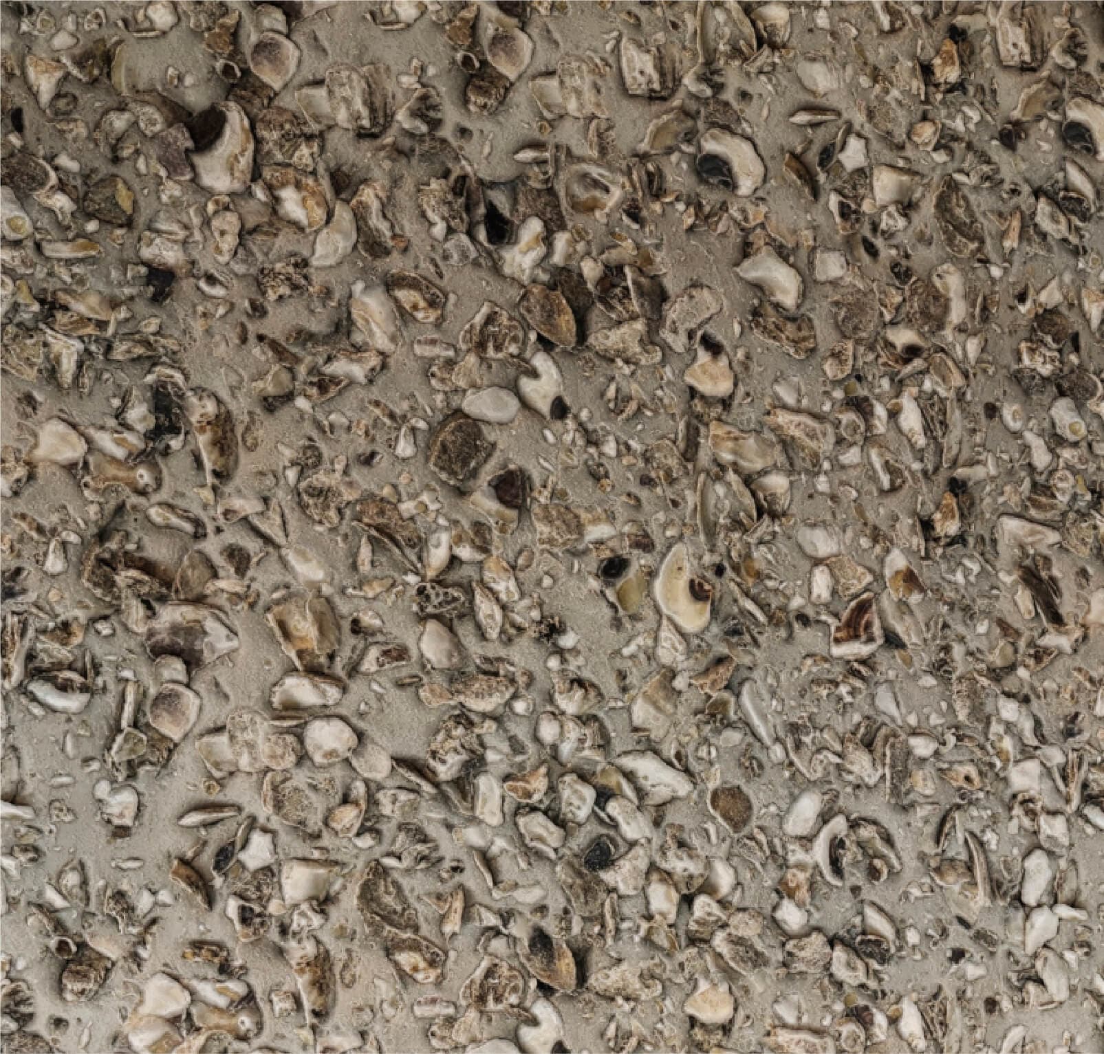 Close-up of traditional oyster shell tabby material, reflecting Savannah's Lowcountry heritage and the natural textures used in Sabal House Inn's interior design.
